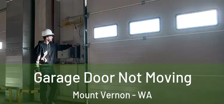  Garage Door Not Moving Mount Vernon - WA